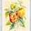 Thumbnail: Magic Needle / Pepper 18x25 cm, 100-211 / Cross Stitch Kit
