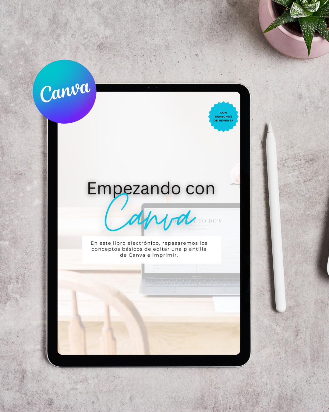 Guía Completa de Canva