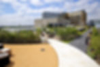 0E4A9105.JPG