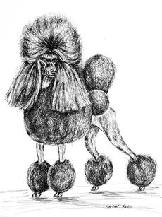 poodle 30x40p.jpg