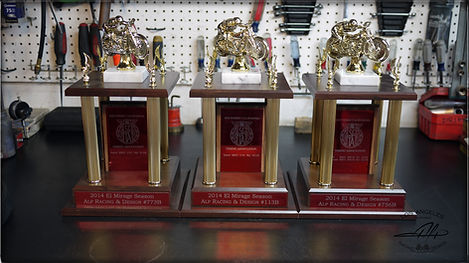 Three Trophies 2014 Alp Sungurtekin
