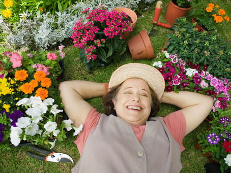 Saúde das Plantas, como manter as suas verdinhas sempre maravilhosas sem stress.