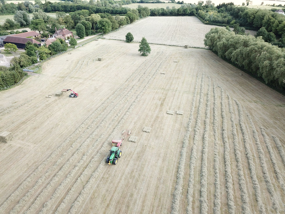 hay baling.jpeg