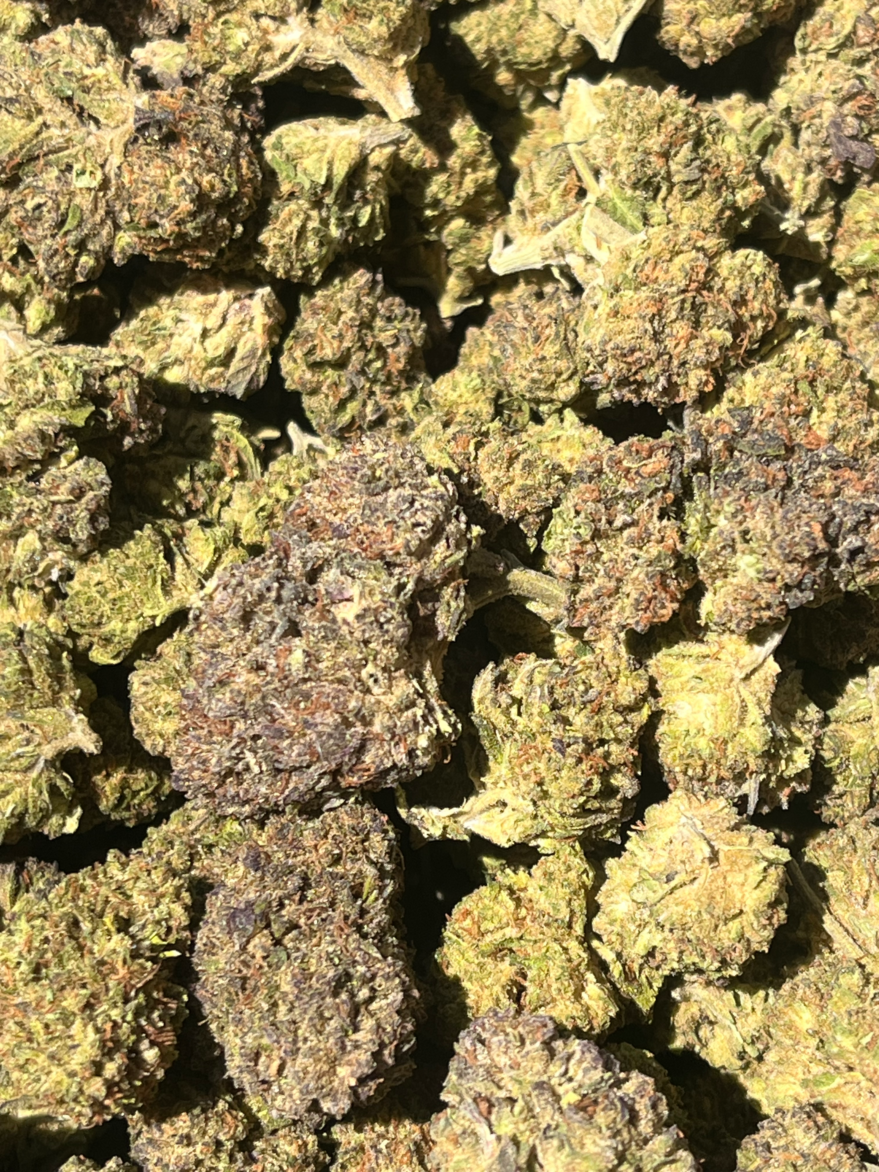 Venom OG 