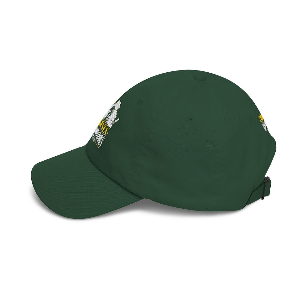 Thumbnail: VACNA Cap — Hat with VACNA Logo