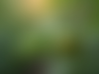 Reliable Offline AI for Crop Diagnostics