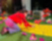 2dd4b479-ebb0-415e-b503-efcd5ee4d44b_edited.jpg