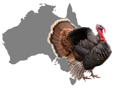pavo gigante descubierto en australia