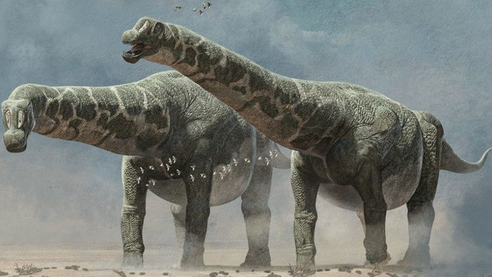 EL GIGANTE DE CHUBUT POR FIN YA TIENE NOMBRE : PATAGOTITAN