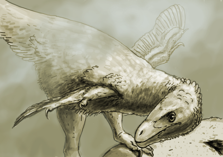 CAMBIO DE LOOK DEL UTAHRAPTOR