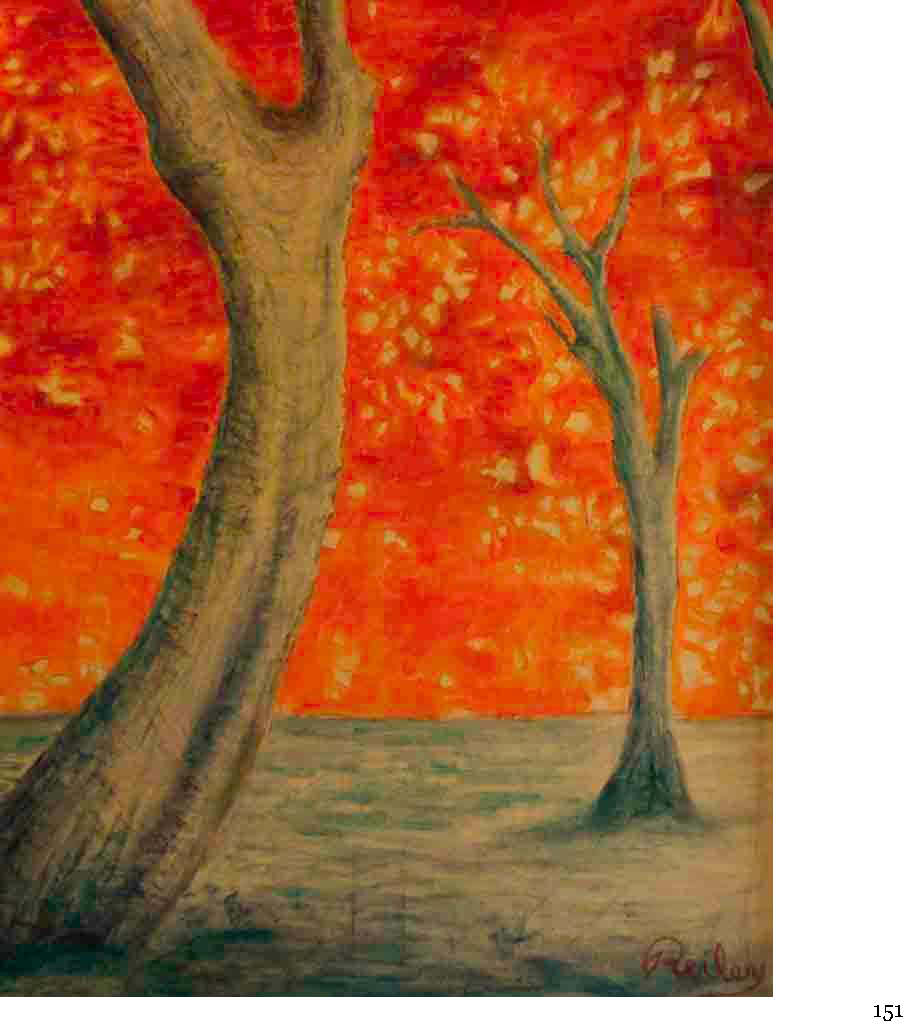 Orange Trees