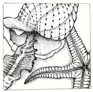 Sketchbook - My Traditional, Digital, Art and Photography