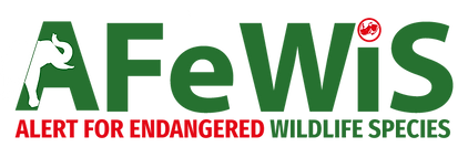 LOGO-AFEWIS.png