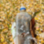 Plastic bottle full of litter