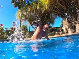 Aqua Combat Strength Trainer Workout