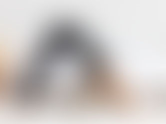 11月の【Zoom De ヨガ】