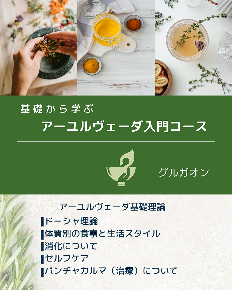 アーユルヴェーダススルタ大医典　ススルタ大医典 アーユルヴェーダ原典日本語版