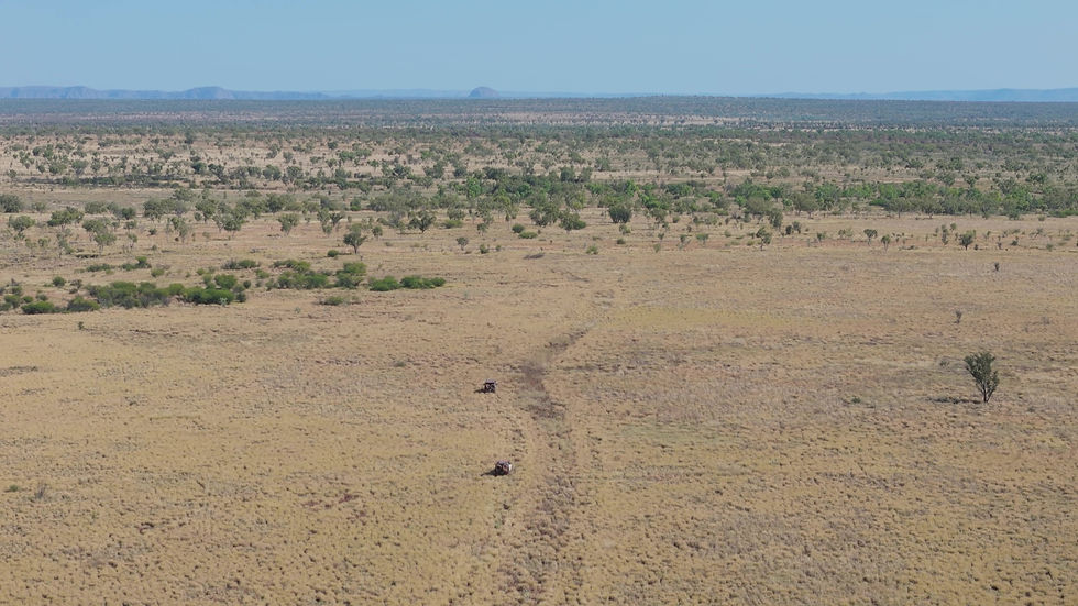 Another day, another overgrown track seemingly not tackled by anyone else this dry season