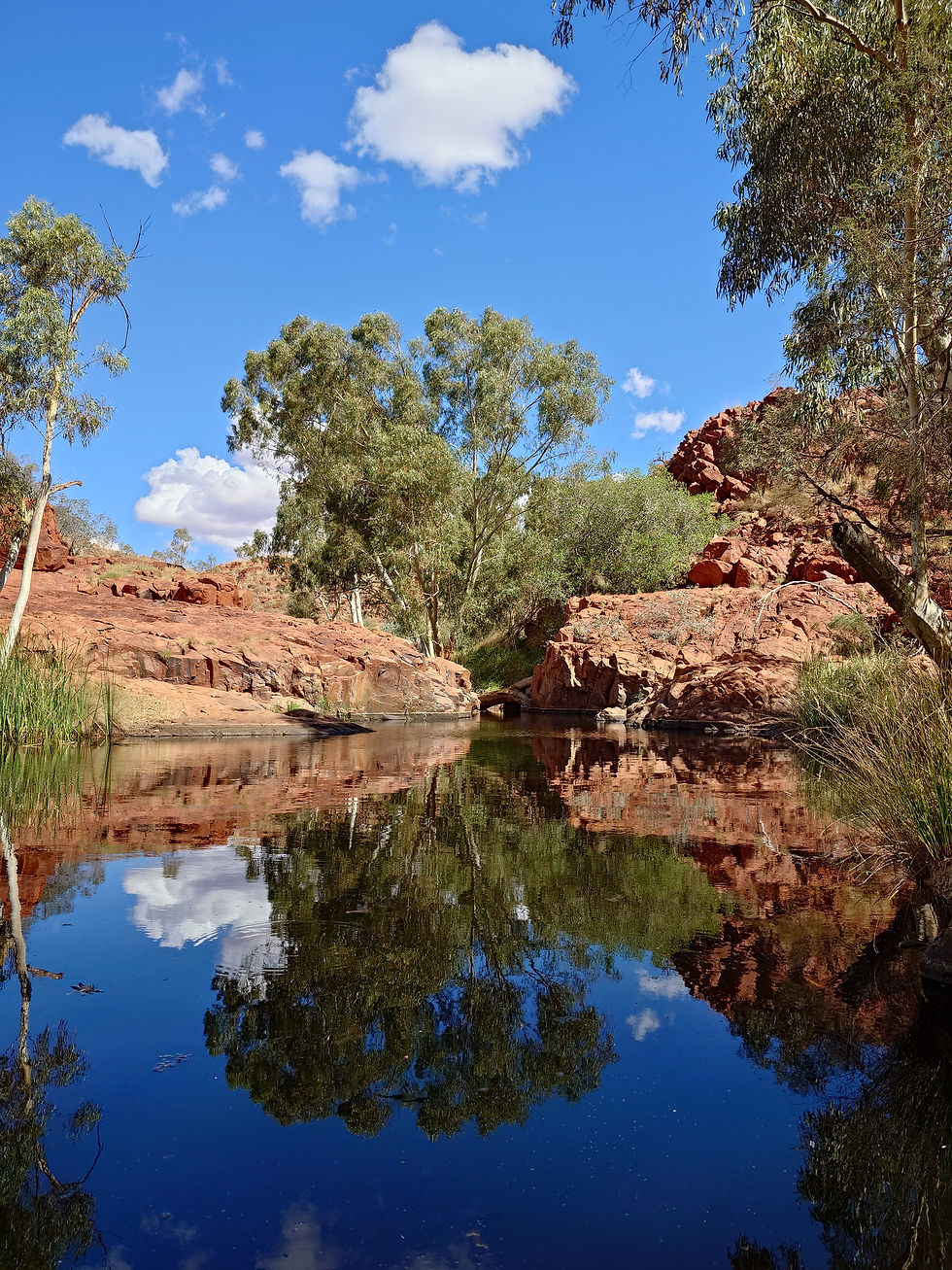 Still waterhole at Bella Pools near Newman in the Pilbara, reflecting a bright blue sky, white clouds and surrounding red rock cliffs, framed by white-trunked river gums and green eucalypts on the banks. Photograph taken at ground level showing the mirror-like surface of the water.