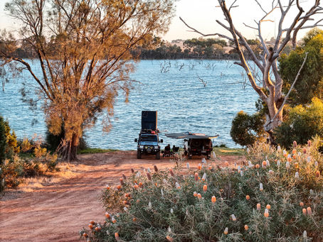 Two 4WD vehicles camped on the banks of Cameron's Lake at sunset, surrounded by flowering banksias and native bush in the Western Australian wheatbelt