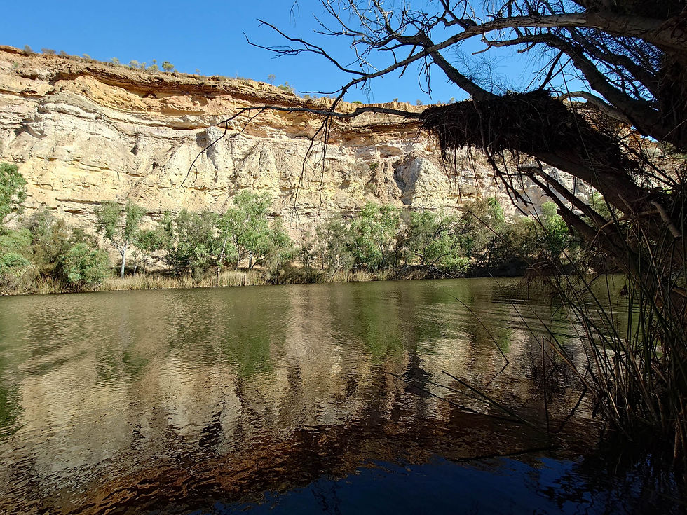 Calm waters at Ellendale Pool with reflections of rocky cliffs and green trees. Blue sky above. Foreground shows trees and foliage, creating a serene scene.