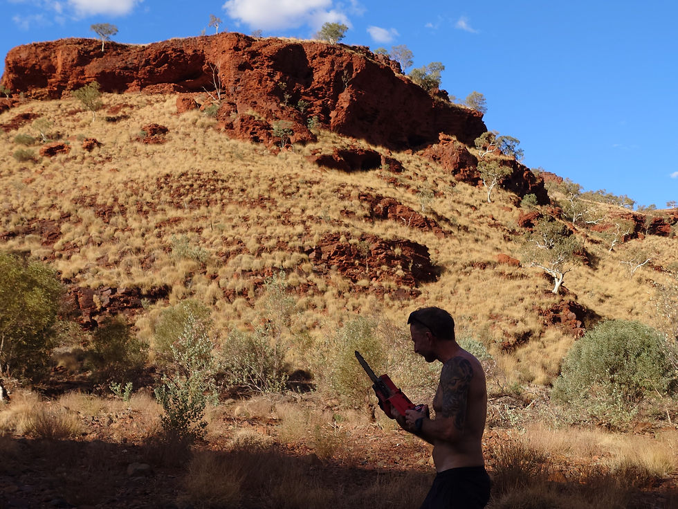 A man holding a small red chainsaw collecting firewood at Punda Campground in the Pilbara, with a dramatic red rock cliff face and spinifex covered hillside rising behind him under a bright blue sky. Photograph captured during late afternoon light in the river bed campsite near Newman, Western Australia.