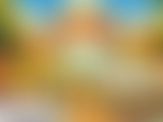 🔎 Letní program 2024