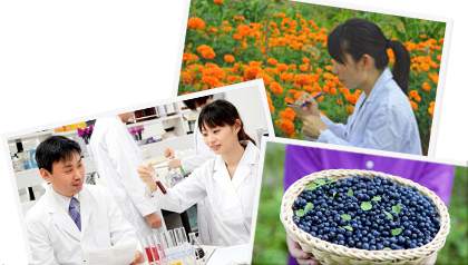 research, lab testing
