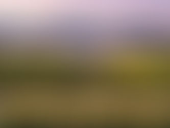 The Best Blinds for Homes in the Okanagan: Style, Comfort & Energy Efficiency.