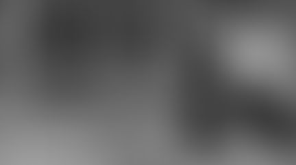 Suurpetojen kuvaaminen