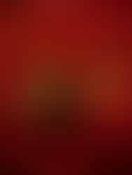 D A N Z A A L F A I A / C U R S O * 2 0 1 9 / 2 0 2 0 *