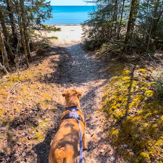 Whitefish Dunes State Park 
