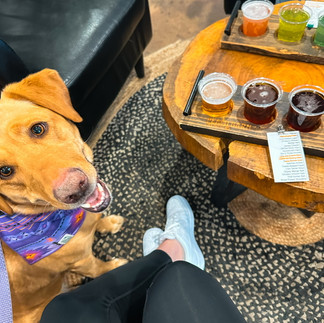 Peach Barn Brewing 