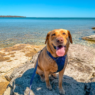 Whitefish Dunes State Park 