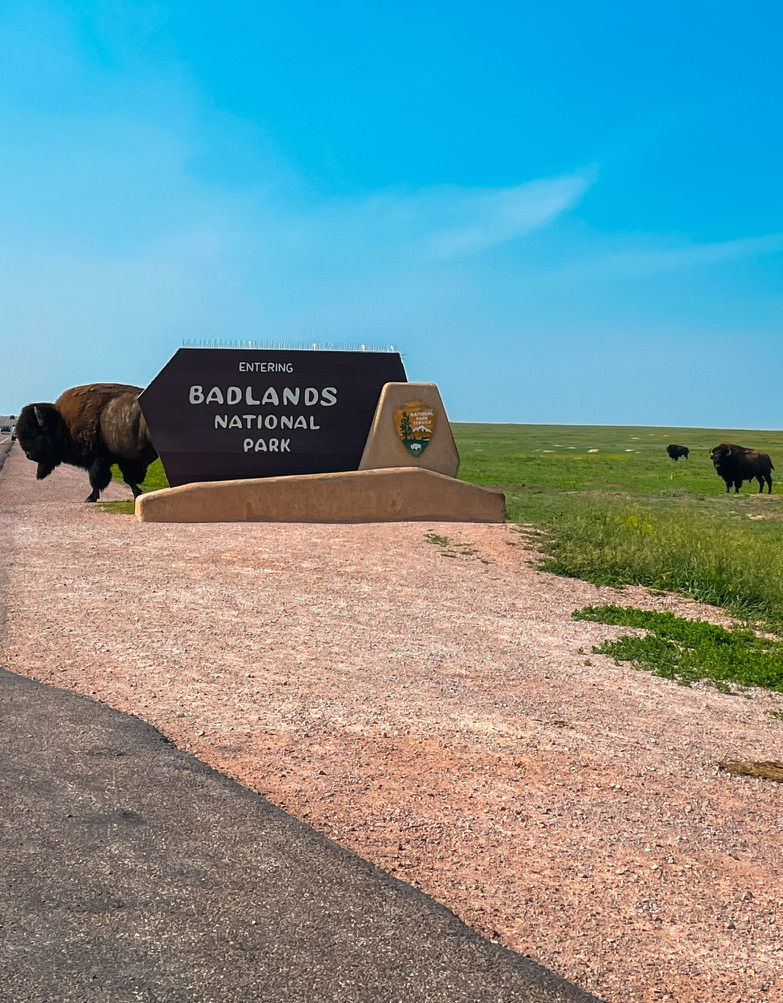14. Out West - South Dakota 