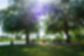 AdobeStock_124646010.jpeg