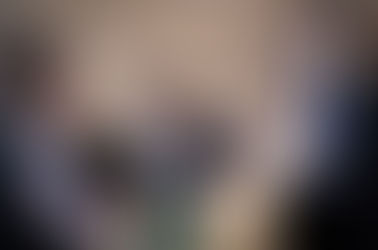 Maitland City Council invites local groups to apply for community projects and celebrations grants