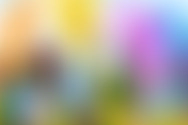 What's On | Hunter Valley Holi Festival