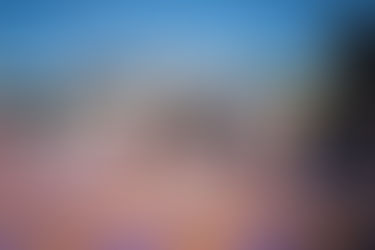 Summer in the City: Maitland's Festive Season Rolls On