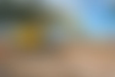 Get the Site Right returns for week-long blitz