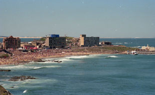 Surfest exhibition to offer Novocastrians a ride down memory lane