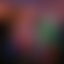 What's On | Lake Macquarie Triathlon Festival