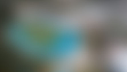 Draft 2024-2025 Operational Plan to go on public exhibition