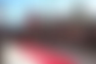 A milestone in masterpieces: 50 years of Maitland Regional Art Gallery