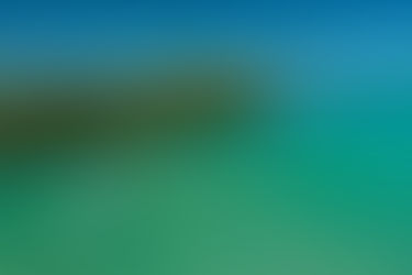 What's On in Lake Mac