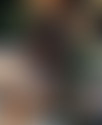 What's On Newcastle, Lake Macquarie & the Hunter | July 2024