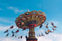 Newcastle Winter Fun Fest