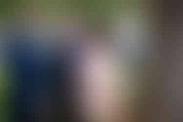 Mayor Kay Fraser speaks to the media at Friday's announcement