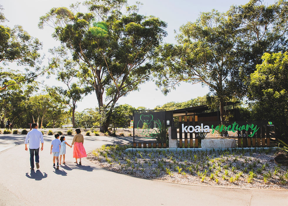 Koala Sanctuary