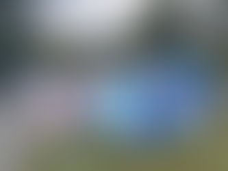 Celebration of Aboriginal culture on display at Finnan Park